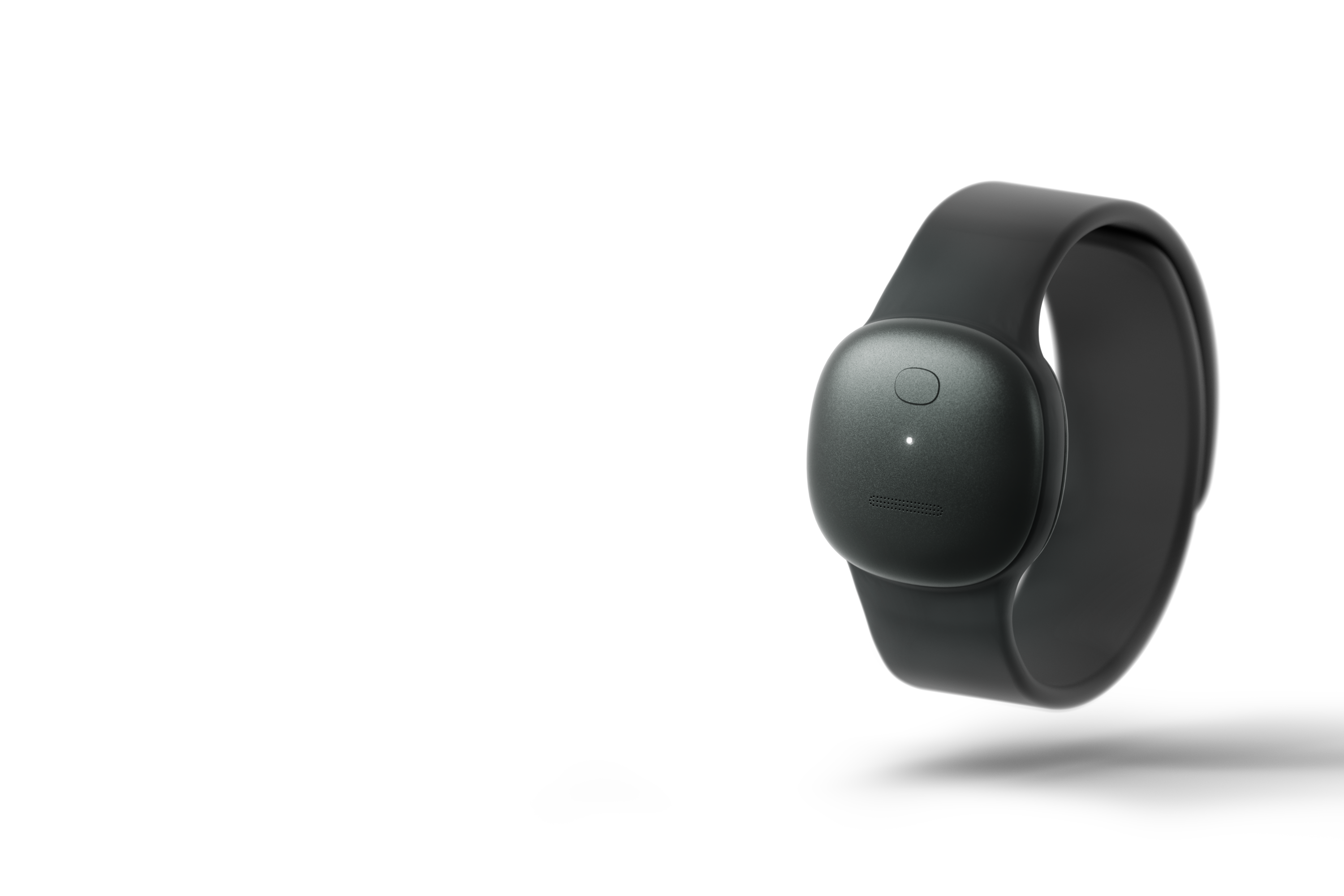 Mori本体とウォッチバンド