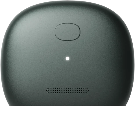mori-package-front-b01 1